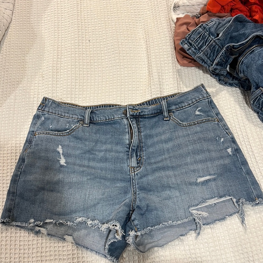 Aeries shorts